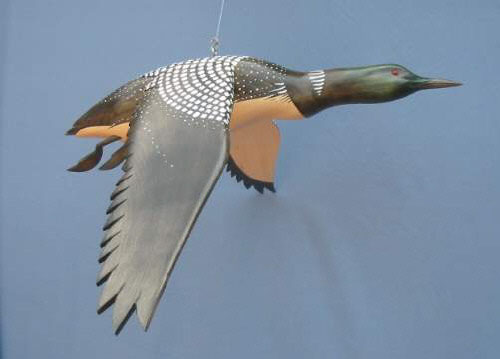 Wood Carving - Bird In Flight Common Loon Wings Down 40