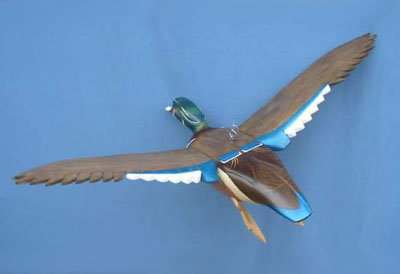 Bird In Flight Wood Duck Drake Wings Up Decoy
